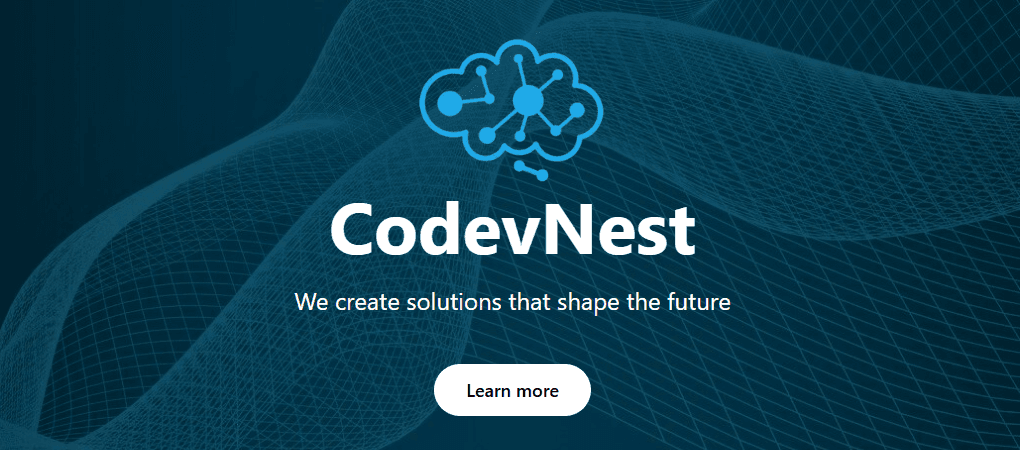 Welcome to CodevNest: Building Digital Solutions for Startups and Small Businesses