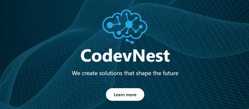 Welcome to CodevNest: Building Digital Solutions for Startups and Small Businesses